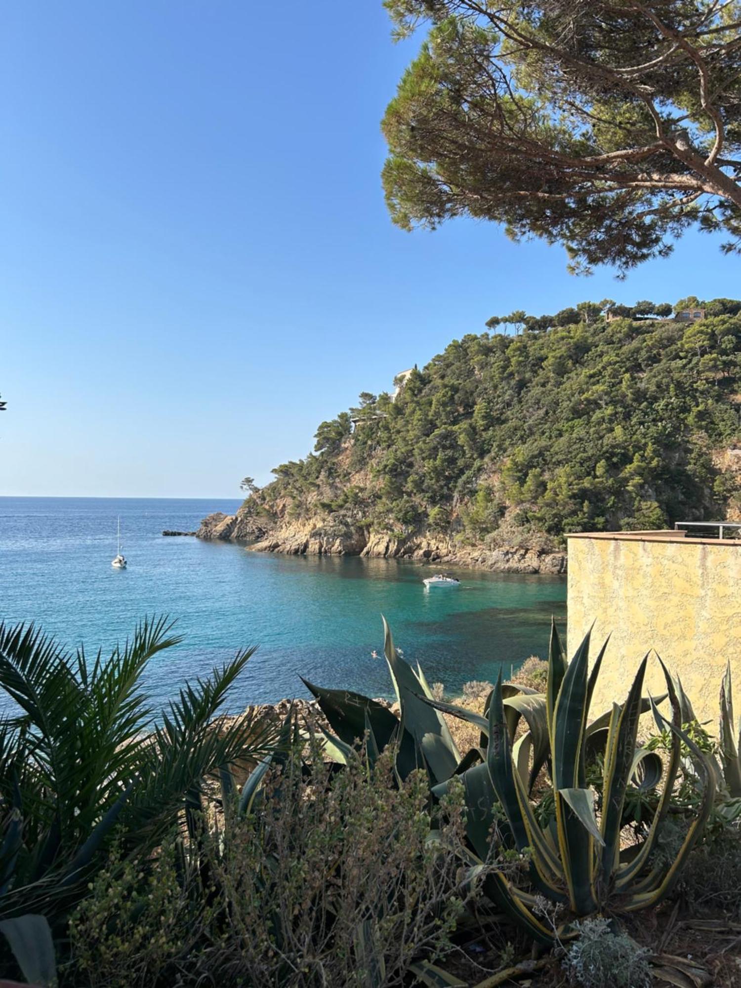 Apartamento La Calypso Cavalaire-sur-Mer Exterior foto